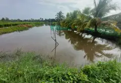 Trương Văn Đa,Đường Đá Xanh Xe Ba Gác Tới Đất
BÁN 1 CÔNG ĐẤT LUK GIÁ 3 TỶ... Bán đất tại Bình Lợi, Hồ Chí Minh 05