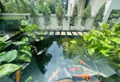 Biệt thự sang trọng ven sông tại Phúc Lợi, không gian sống đẳng cấp... Bán biệt thự, liền kề tại Phúc Lợi, Hà Nội 06