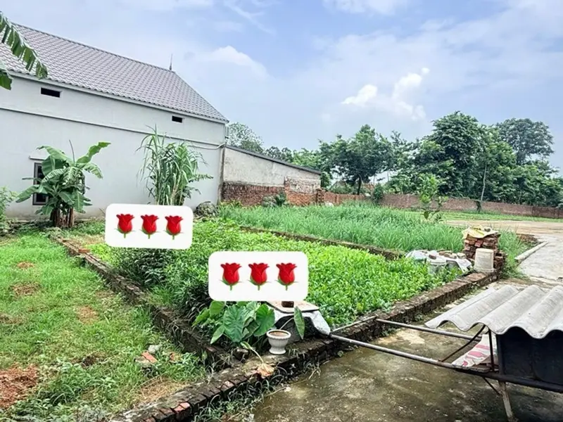 Đất trung tâm Thôn Thanh Lại - Đầu tư nhỏ sinh lời lớn... Bán đất tại Sóc Sơn, Hà Nội 01