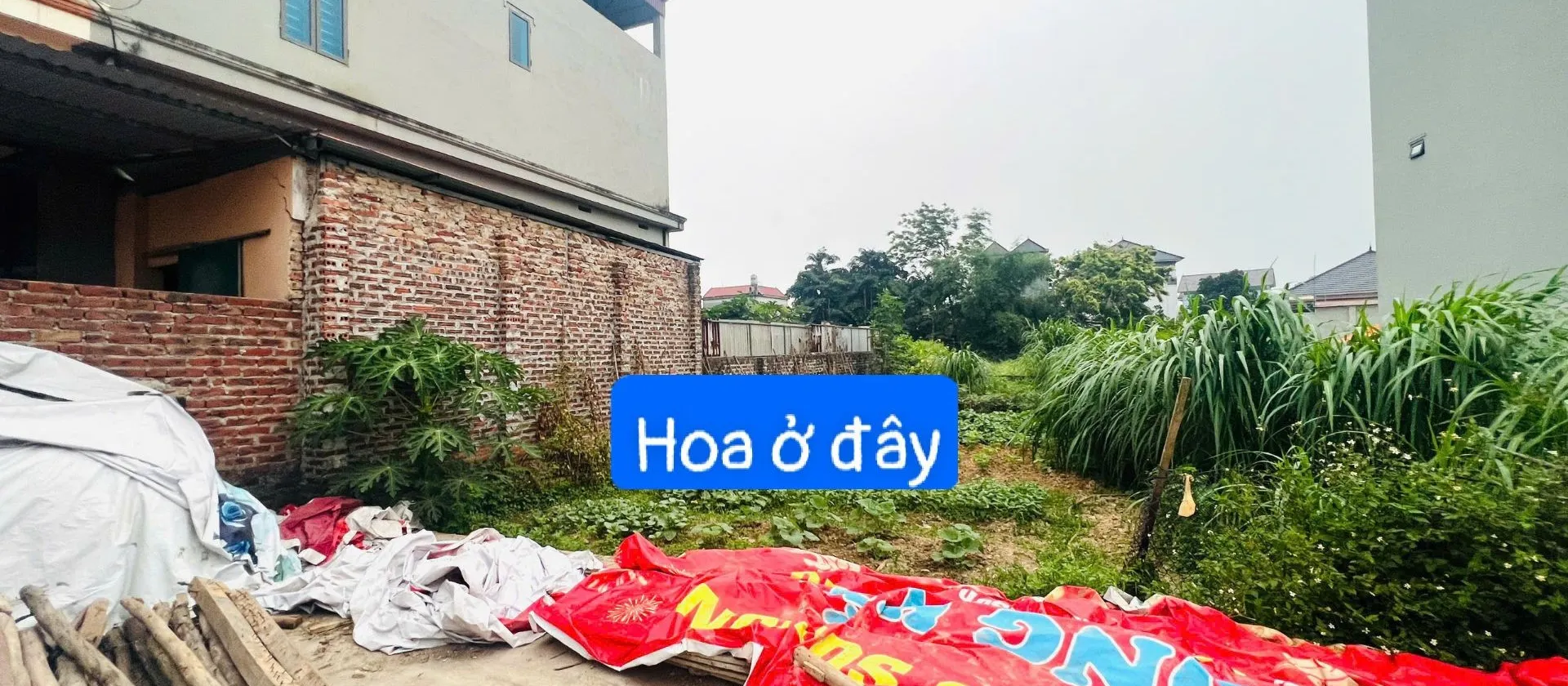 Bán đất thổ cư 99.2m2 tại xã Tiên Dược, Sóc Sơn, ô tô vào tận nơi... Bán đất tại Sóc Sơn, Hà Nội 01