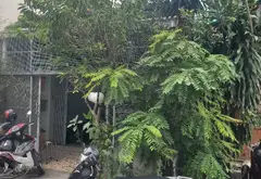 Nhà riêng 1 tầng 112.9m2 hẻm rộng tại Bình Tân giá 8 tỷ... Bán nhà riêng tại Bình Trị Đông, Hồ Chí Minh 08