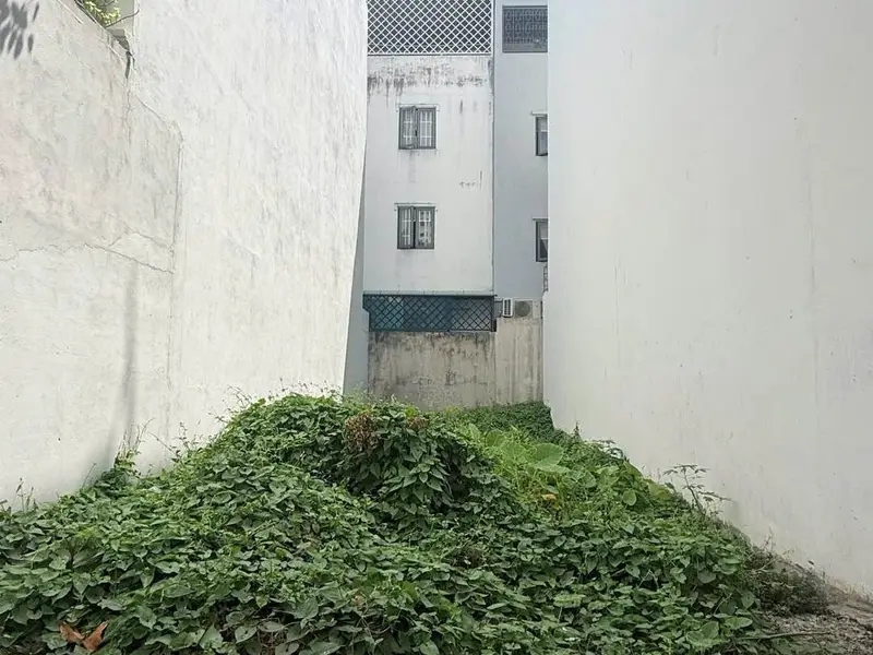 Khu Anh Tuấn Nhà Bè đường nhựa 8m 80m² xây tự do... Bán đất tại Nhà Bè, Hồ Chí Minh 01