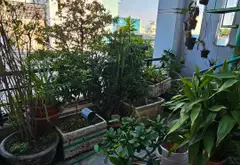 Nhà siêu rộng, thoáng mát ngay Truc Tinh Lô 10 giá hấp dẫn... Bán nhà riêng tại Bình Trị Đông, Hồ Chí Minh 04