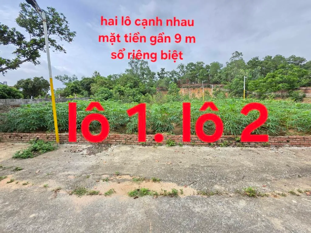BÁN ĐẤT THỔ CƯ CẠNH KCN QUẾ VÕ BẮC NINH... Bán đất tại Quế Võ, Bắc Ninh 01
