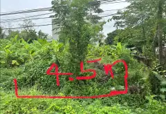 Đất phân lô thôn Vàng, vị trí vàng chờ bứt phá... Bán đất tại Gia Bình, Bắc Ninh 07