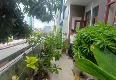 - 1 nửa nhà tầng trệt trống để xe hơi 7 chỗ, 1 phòng bếp, 1 phòng khách, 1 phòng thờ, 5 phòng ngủ,... Bán nhà mặt phố tại An Lạc, Hồ Chí Minh 12