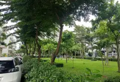 Bán đất lô góc 2 mặt tiền tại Lê Đức Thọ, Gò Vấp, diện tích 147.9 m²... Bán đất tại An Hội Đông, Hồ Chí Minh 02