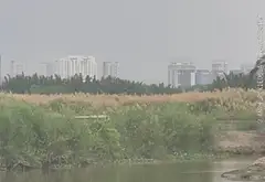 Sở hữu đất sinh thái rộng lớn cạnh Senturia Nam Sài Gòn... Bán đất tại Bình Hưng, Hồ Chí Minh 02