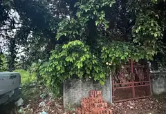 Đất Mặt Đường Thành Tô 198m² Vị Trí Trung Tâm Kinh Doanh Sầm Uất... Bán đất tại Hải An, Hải Phòng 03