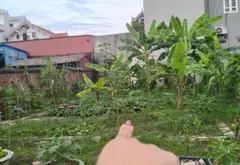 Sở hữu ngay lô đất vàng giữa lòng Thủy Nguyên... Bán đất tại Thủy Nguyên, Hải Phòng 03