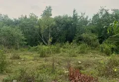 Đất 2 mặt tiền rộng rãi tại Bộ Đội An Điền, Bình Chánh... Bán đất tại Vĩnh Lộc, Hồ Chí Minh 04
