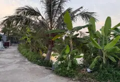 Cơ hội vàng sở hữu đất siêu rộng tại Đa Phúc - Hưng Đạo đắc địa... Bán đất tại Hưng Đạo, Hải Phòng 05