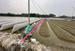 Bán đất vuông vắn rộng 416m2, mặt tiền 13m tại xã Phúc Thịnh... Bán đất tại Phúc Thịnh, Hà Nội 04