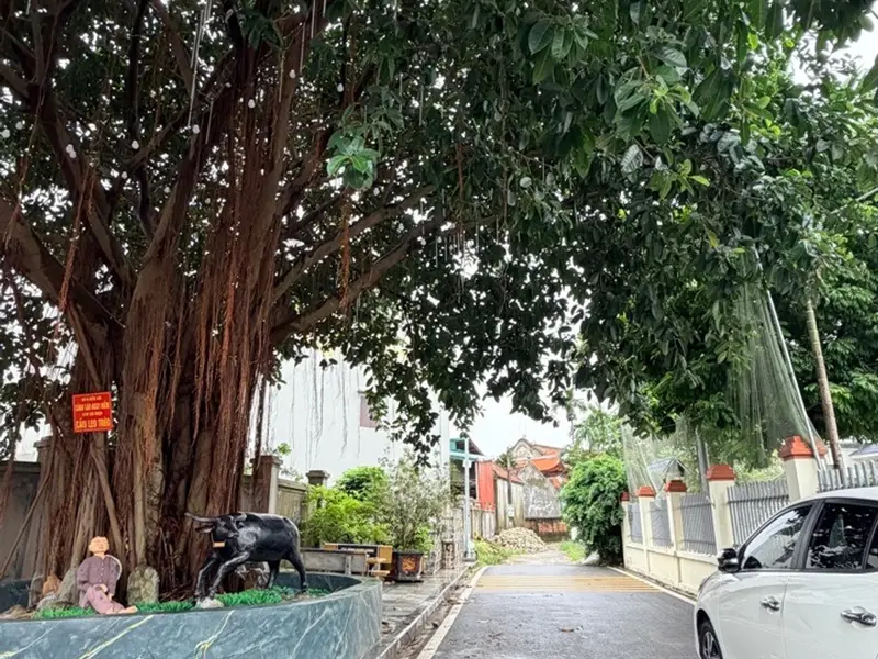 Bán đất xã Văn Giang, Hưng Yên diện tích 87.9m2 giá 3.3 tỷ... Bán đất tại Văn Giang, Hưng Yên 01