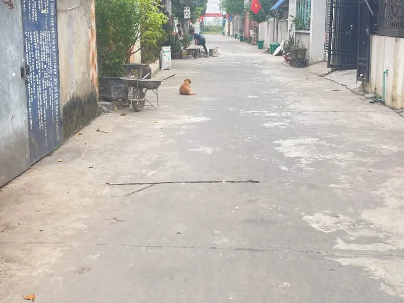 Đất thổ cư đẹp giá tốt tại Sóc Sơn - Thế Trạch... Bán đất tại Sóc Sơn, Hà Nội 01