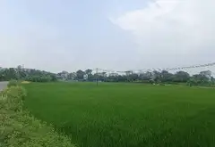Lô Đất Vuông Vắn Mặt Tiền Rộng Rộng Lý Tưởng Cho Vợ Chồng Trẻ... Bán owner_side tại Sóc Sơn, Hà Nội 08