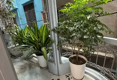 Bán nhà riêng 5 tầng tại Kim Đồng, có thang máy, gần hồ, phân lô ô tô... Bán nhà riêng tại Hoàng Mai, Hà Nội 06