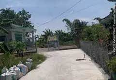 Bán đất 150m2 tại phường An Phú Đông, Hồ Chí Minh, pháp lý sổ hồng chính chủ... Bán đất tại An Phú Đông, Hồ Chí Minh 06