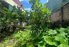 Cơ Hội Sở Hữu Lô Đất Vuông Vắn Tại Trung Tâm Thanh Trì Hiếm Có... Bán đất tại Thanh Trì, Hà Nội 05