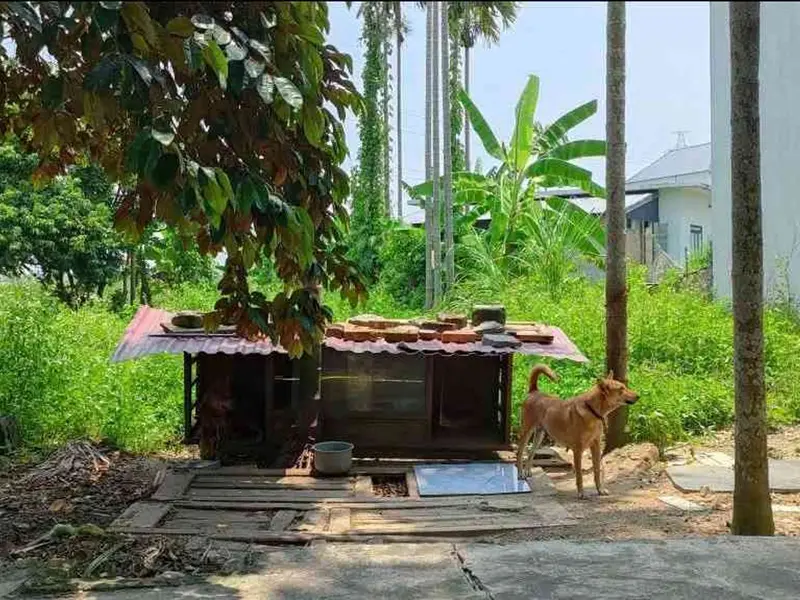 Cơ hội hiếm có sở hữu lô đất 111m² tại phường An Hải, Hải Phòng... Bán đất tại An Hải, Hải Phòng 01