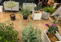 Nhà mặt phố 3 tầng, 48m² tại Quận 6, giá 11.5 tỷ giảm sâu... Bán nhà mặt phố tại Bình Phú, Hồ Chí Minh 09