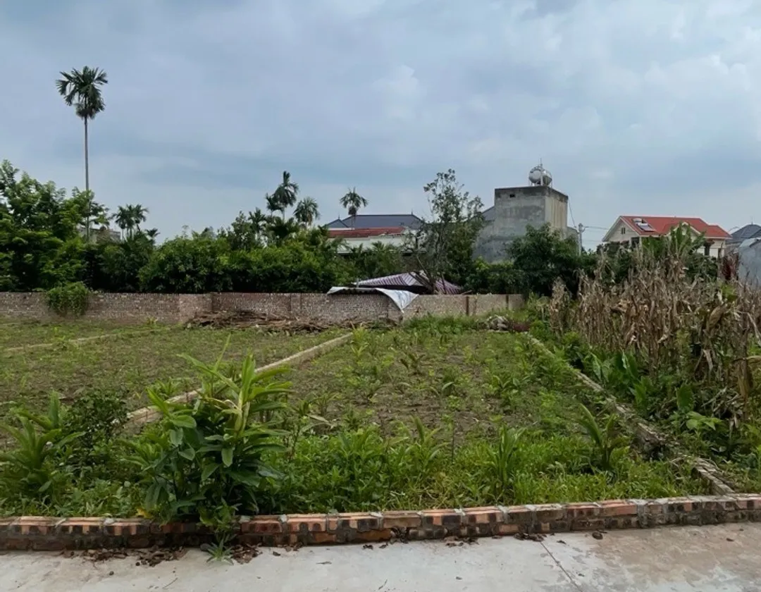 Bán đất , mặt tiền 5m tại Thôn Đức Nhuận, Triệu Việt Vương... Bán đất tại Triệu Việt Vương, Hưng Yên 01