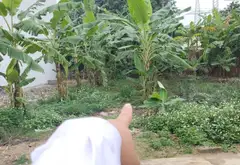Đất vàng Đan Tảo Tân Minh, kết nối hai ô tô, sinh lời bền vững... Bán đất tại Sóc Sơn, Hà Nội 05