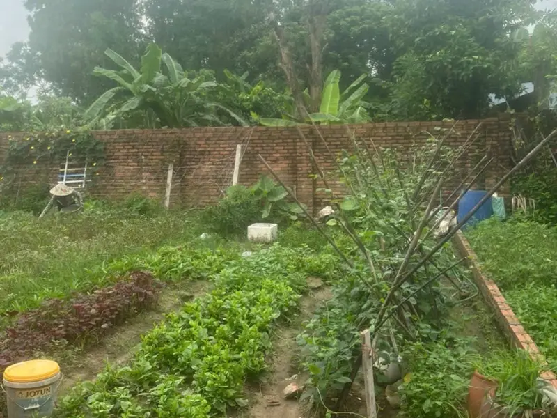 ĐẦU TƯ SIÊU HẤP DẪN TẠI SÓC SƠN – MẢNH ĐẤT VUÔNG ĐẸP CHỈ 2,3 TỶ!... Bán đất tại Sóc Sơn, Hà Nội 01