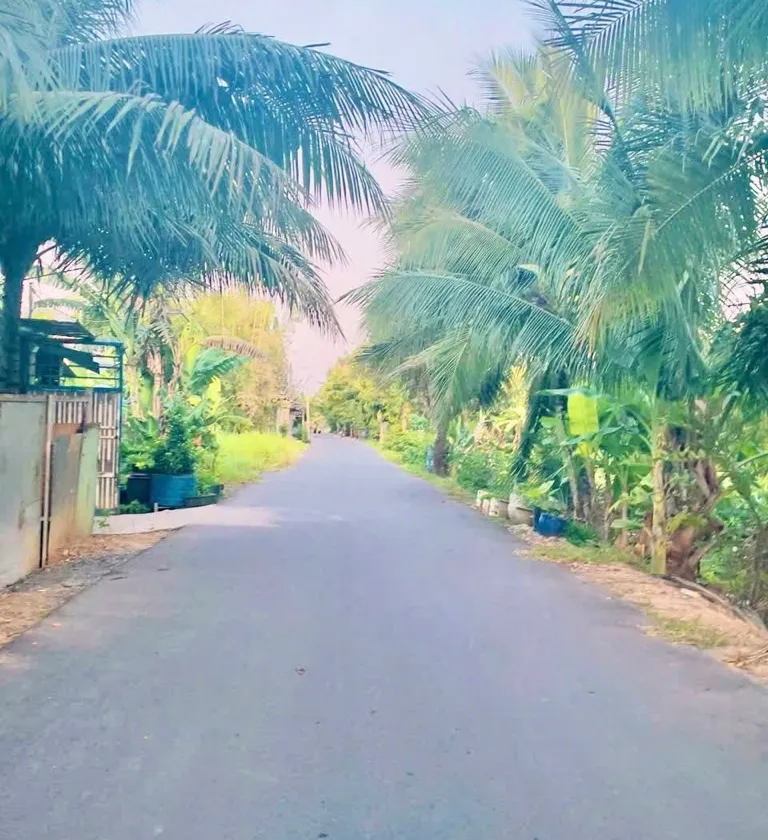Bán dãy nhà trọ 14 phòng tại Bình Chánh giá 5.9 tỷ... Bán owner_side tại Bình Lợi, Hồ Chí Minh 01