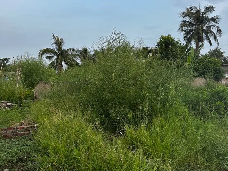 Lô đất tiềm năng khu Tân Vũ, Hải An với vị trí đắc địa và diện tích lý tưởng... Bán đất tại Hải An, Hải Phòng 01