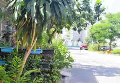Cơ hội sở hữu nhà 4 tầng tuyệt đẹp tại Vĩnh Tiến ngay cạnh TĐC Hồ Sen... Bán nhà riêng tại An Biên, Hải Phòng 02