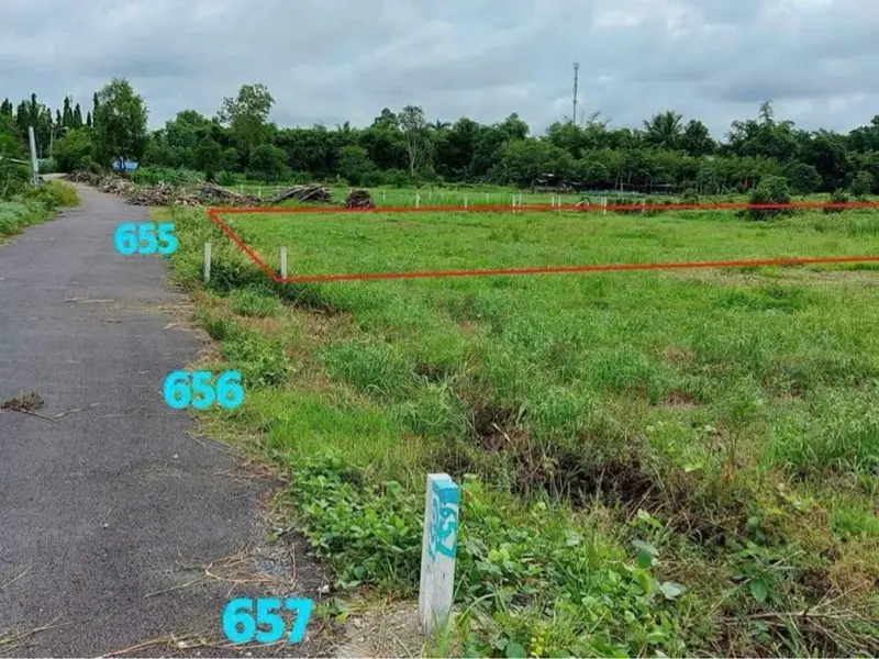 Bán đất vuông đẹp 500m2 mặt tiền 12m tại Cây Trôm - Mỹ Khánh, Củ Chi... Bán đất tại Thái Mỹ, Hồ Chí Minh 01
