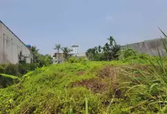 🏘️ Đất lớn Thạnh Xuân 33, Q.12 - 1.161m2 ngang 25m - đường 12m - 38.5 tỷ... Bán nhà riêng tại Thới An, Hồ Chí Minh 03