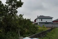 Đất thổ cư mặt đường, sổ đỏ chính chủ, giá hợp lý... Bán đất tại Xuân Cẩm, Bắc Ninh 05