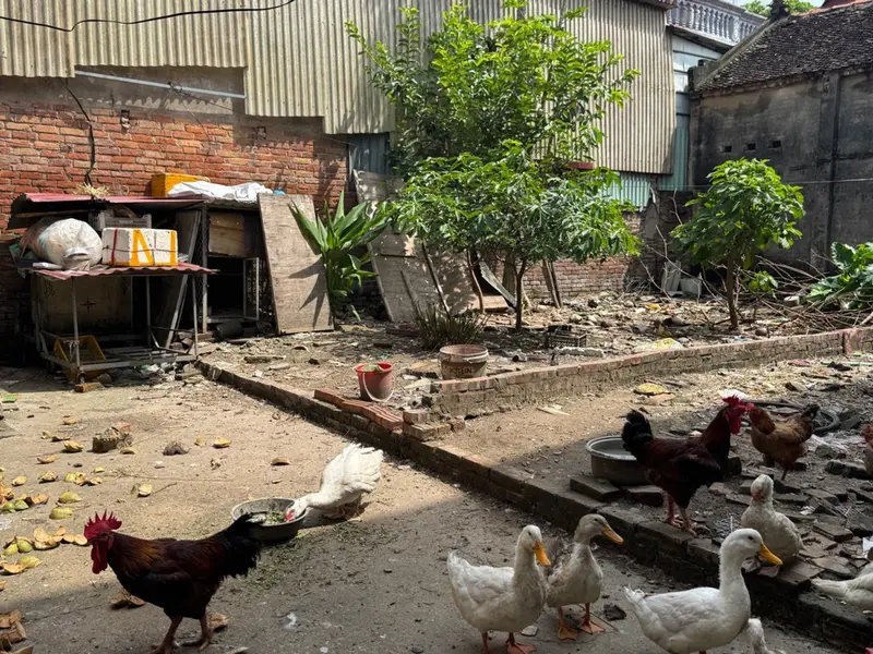 Đất Vuông Vắn Gần Trung Tâm, Giá Đầu Tư Siêu Hấp Dẫn... Bán đất tại Phù Khê, Bắc Ninh 01