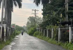 Bán đất mặt tiền Xóm Dầu Bình Chánh diện tích 1500m2... Bán đất tại Tân Nhựt, Hồ Chí Minh 05