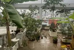 BÁN TOÀ NHÀ 5 TẦNG THANG MÁY KDC HIMLAM KIỀU ĐÀM ĐƯỜNG TRẦN XUÂN SOẠN Q7. DT 120M2. 8 x 15. 22 TỶ... Bán nhà riêng tại Tân Hưng, Hồ Chí Minh 12