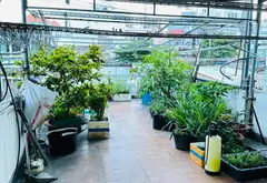 Nhà mặt phố kinh doanh sầm uất 5 tầng tại quận Tân Phú... Bán nhà mặt phố tại Phú Thạnh, Hồ Chí Minh 05