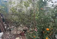 Bán đất 40m2 tại Nhị Khê, vị trí tiềm năng gần Vin Olympics và vành đai 4... Bán đất tại Thường Tín, Hà Nội 01
