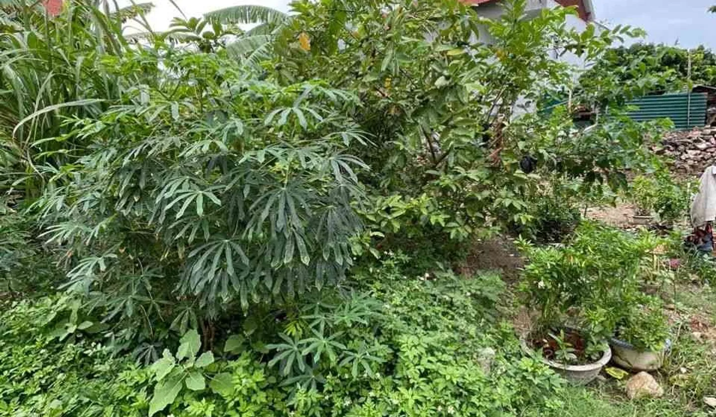 Cơ hội sở hữu đất Tân Dân Sóc Sơn giá tốt, ô tô vào tận nơi... Bán đất tại Sóc Sơn, Hà Nội 01