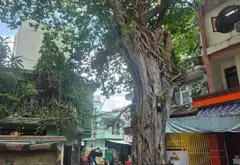 SIÊU PHẨM ĐẤT VÀNG NGANG  6.4M – CHỦ QUYỀN 1 ĐỜI – GIÁ RẺ NHẤT KHU VỰC!​Vị trí đắc... Bán nhà riêng tại Gia Định, Hồ Chí Minh 01