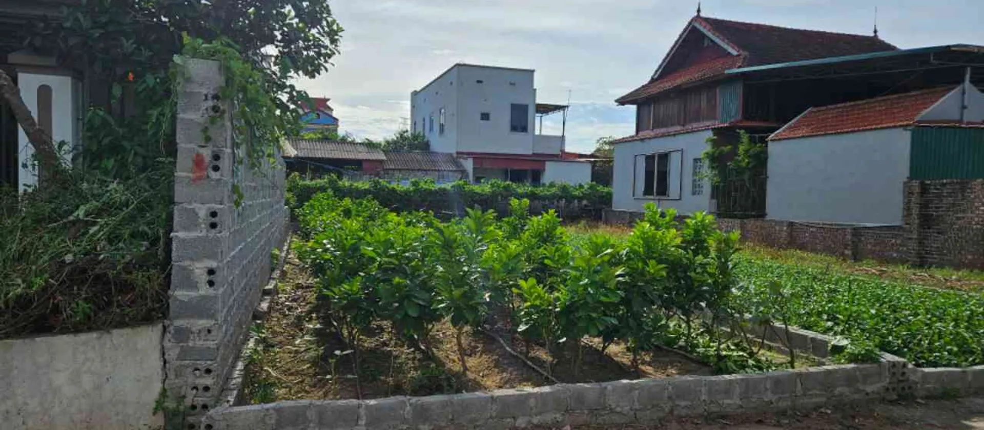 Đất thổ cư đông tảo-hưng yên vị trí tiềm lăng theo dự án vành đai 4 và sân vận động PVF..vv... Bán đất tại Hoàn Long, Hưng Yên 01