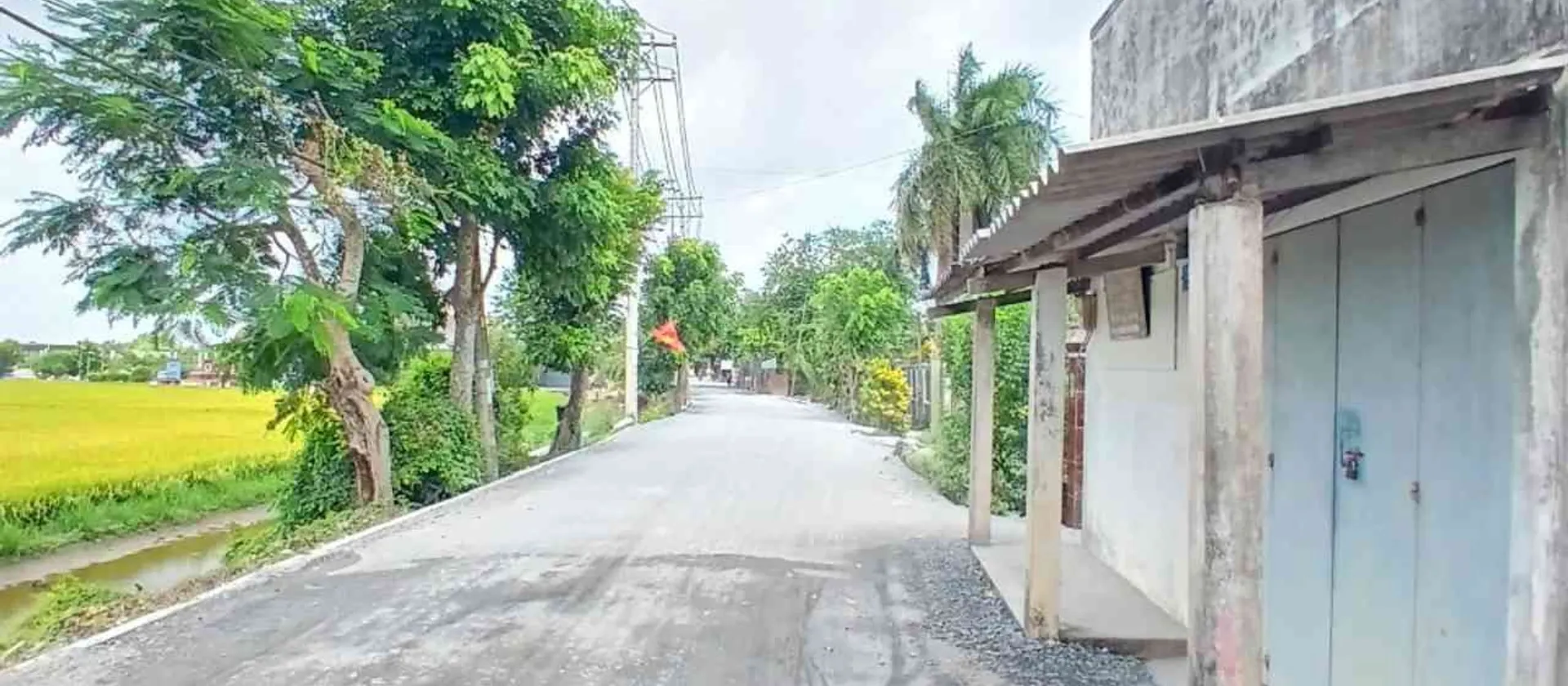 Bán nhà mặt phố xã phường, mặt tiền rộng 14m, diện tích 296.7m2... Bán nhà mặt phố tại Tân Nhựt, Hồ Chí Minh 01