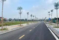 BÁN ĐẤT KHU ĐẤU GIÁ THÔN ĐÌA - PHÂN LÔ - VỈA HÈ 5M - MẶT TIỀN NẰM BÊN ĐƯỜNG 14M... Bán đất tại Đông Anh, Hà Nội 06