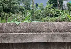 Bán đất mặt tiền 12m, hướng tây nam tại xã Tiến Minh, Tiên Lãng, Hải Phòng... Bán đất tại Tiên Lãng, Hải Phòng 02