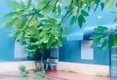 Kho xưởng 2 tầng rộng 730m2 tại Thái Bảo, Gia Bình - Cơ hội đầu tư vàng... Bán kho, nhà xưởng tại Nhân Thắng, Bắc Ninh 10