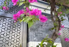 Bán nhà riêng 2 căn liền kề tại xã Nhà Bè, Hồ Chí Minh giá 10,5 tỷ... Bán nhà riêng tại Nhà Bè, Hồ Chí Minh 09