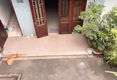 Nhà 2 tầng hiếm, mặt tiền 6m ngay Lê Văn Sỹ, giá ưu đãi... Bán nhà riêng tại Tân Sơn Hòa, Hồ Chí Minh 13