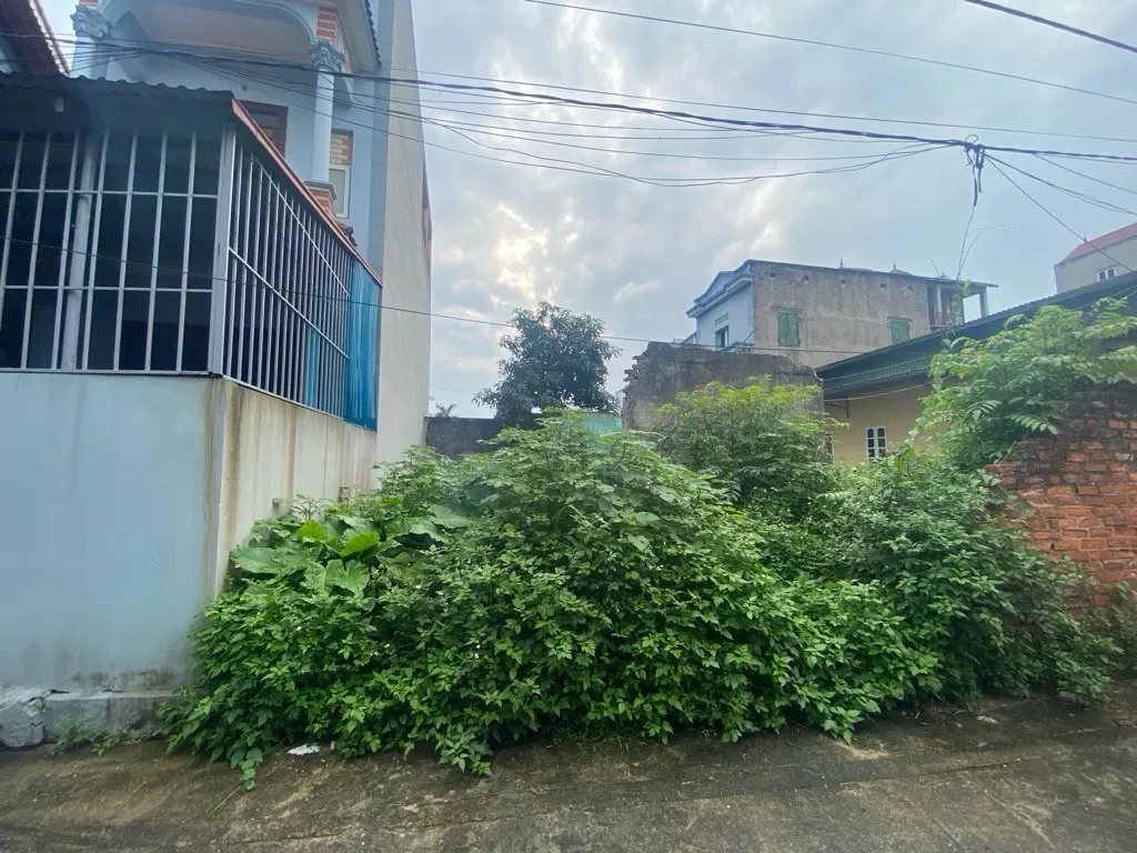 🔥 ĐẤT ĐẸP LƯƠNG NỖ – NGÕ Ô TÔ – SÁT VÀNH ĐAI 3 – TIỀM NĂNG TĂNG GIÁ CAO... Bán đất tại Phúc Thịnh, Hà Nội 01