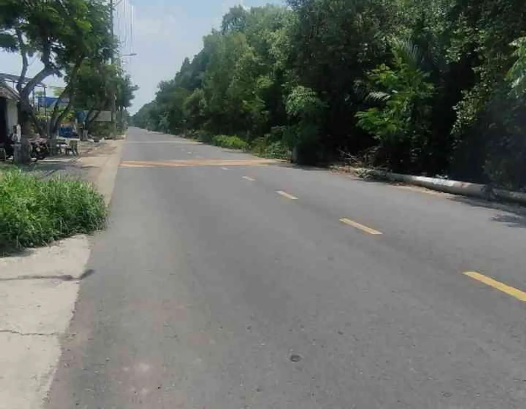 Bán đất 6000m2 mặt tiền 56m tại An Thới Đông TP HCM... Bán đất tại An Thới Đông, Hồ Chí Minh 01